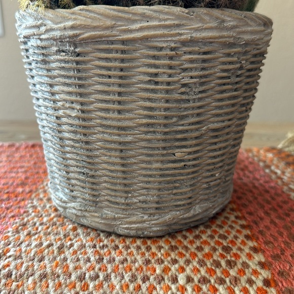 Faux Potted Cactus Arrangement - Picture 4 of 14